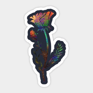 Poppie Flower Sticker